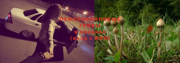 МДПВ Пестово