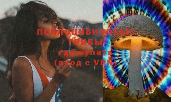2c-b Алзамай