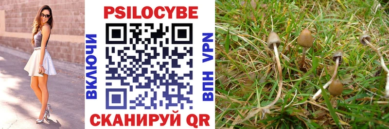 как найти закладки  Новоаннинский  Псилоцибиновые грибы GOLDEN TEACHER 